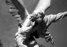 Adhésion