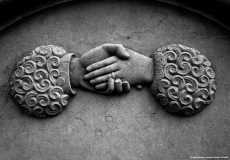Exposition: Une histoire d&rsquo;alliances