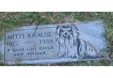 Las vegas Pet Cemetery