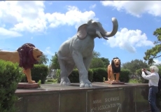 Southern Memorial Park