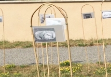 Art pour se souvenir